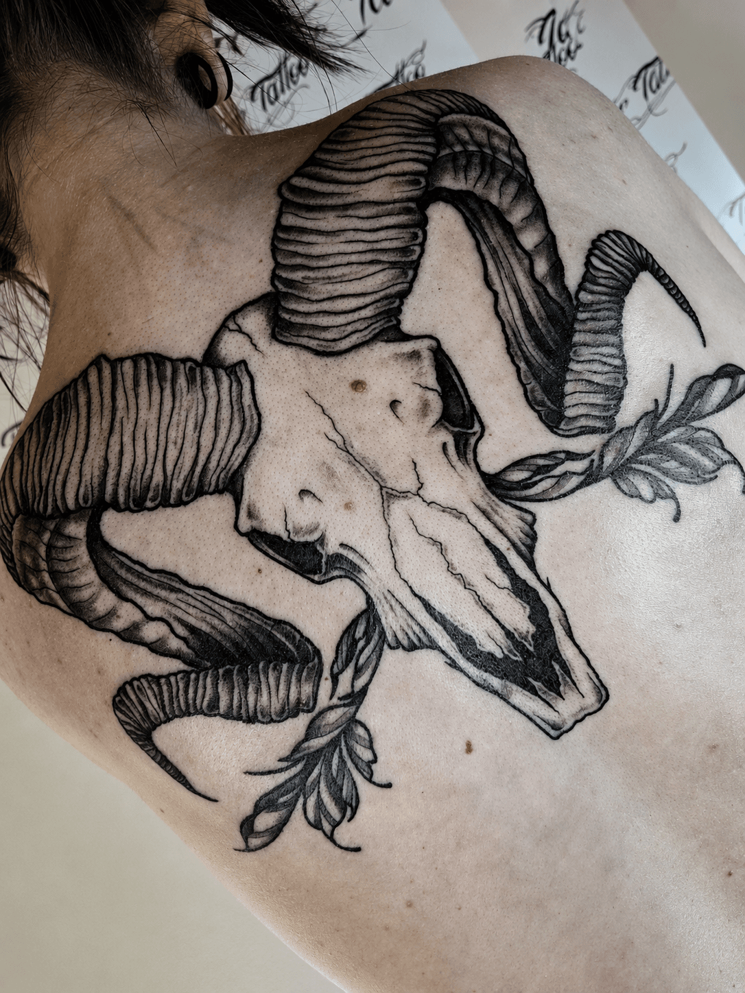 Backpiece: Starten på en større backpiece med dyrekranium og blomster.